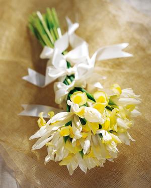 Irises Archives - Bouquet Wedding Flower